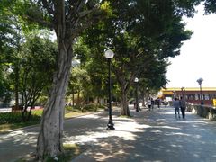 -珠江夜游广州塔·中大码头