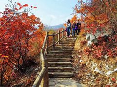 -周口店坡峰岭风景区