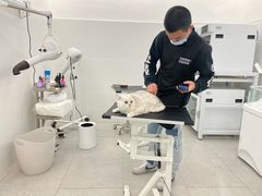 -comecome来吧宠物(奥克斯中心店)