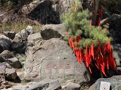 -泰山风景名胜区