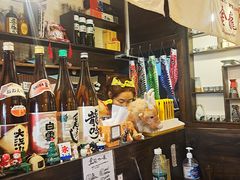 -金龙咖喱