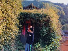 -杨家堂村