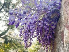 -雨花胜境