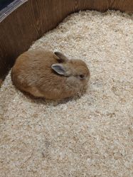 -Zoolung Zoolung动物主题公园(海信广场店)