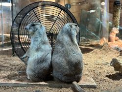 -Zoolung Zoolung动物主题公园(海信广场店)