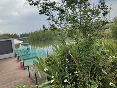 -白鹭湾湿地公园