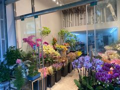 -溪岸路花鸟市场