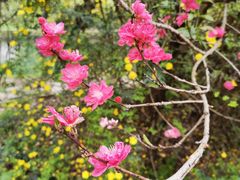 -贵阳市花溪国家城市湿地公园