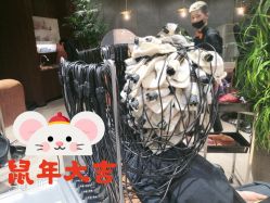 -BENSON沙龙