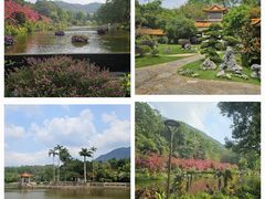-深圳市中科院仙湖植物园