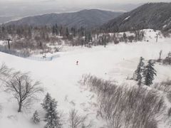 -亚布力新体委滑雪场