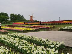 -杭州湾海上花田景区
