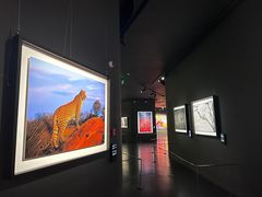 -罗红摄影艺术馆