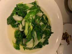 -新南苑酒家(德思勤店)