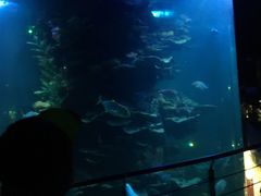 -蓬莱欧乐堡梦幻世界