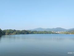 -佛手湖郊野公园