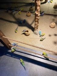 -酷嗒动物文化乐园(cutezoo西溪乐天城店)