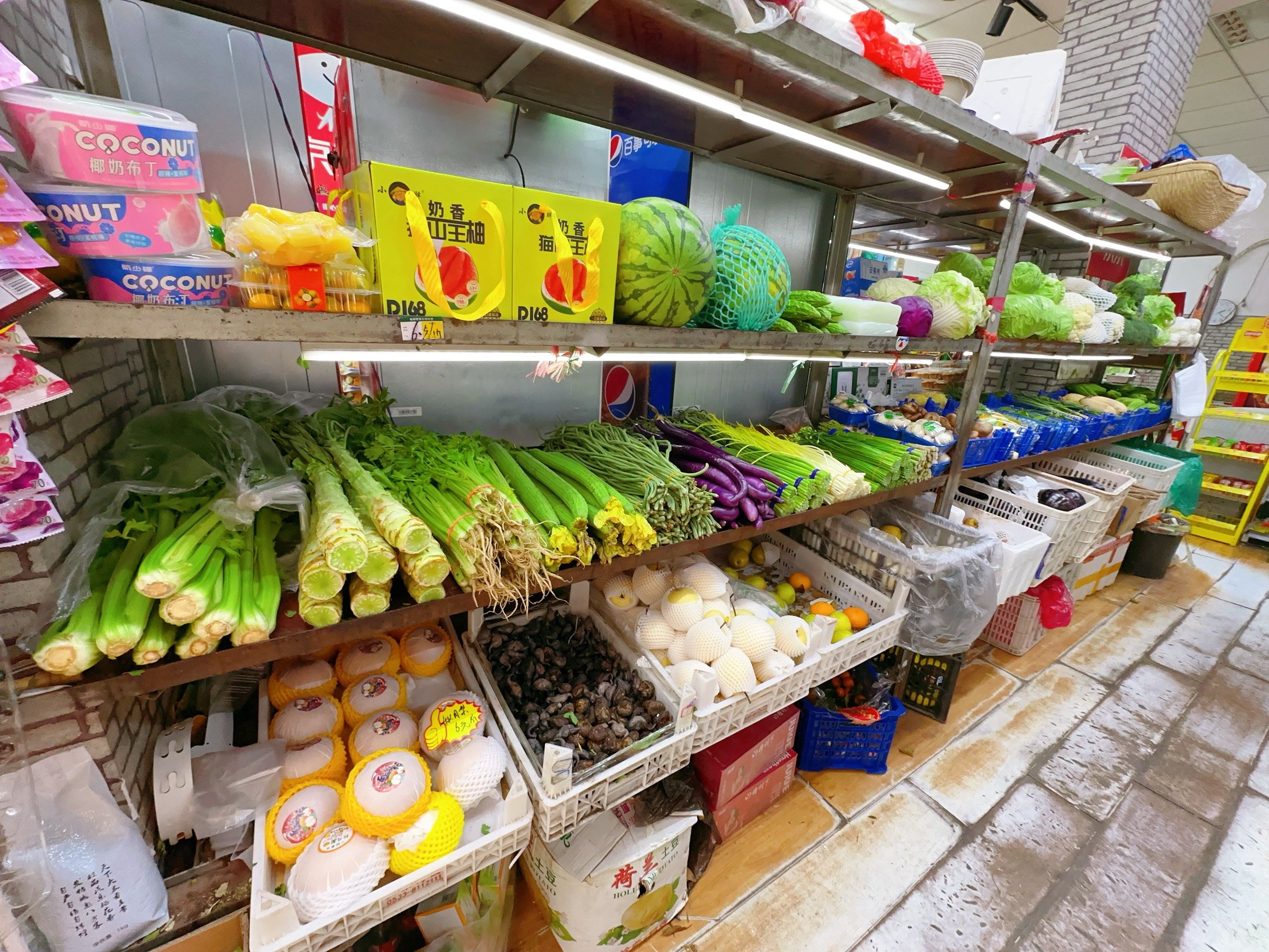 在这里  满眼翠绿鲜嫩, 每一颗蔬菜都仿佛带着清晨的露水