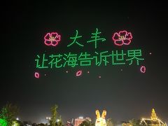 -荷兰花海
