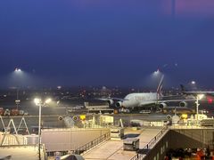 -约翰·菲茨杰拉德·肯尼迪国际机场