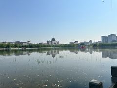 -莲花池公园