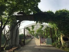 -美家乐农庄·露营·团建(大治路店)