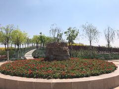 -天津东丽湖风景区