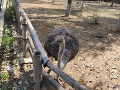 -大连森林动物园