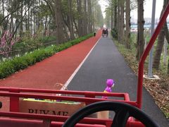 -上海长兴岛郊野公园