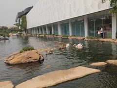 -罗红摄影艺术馆