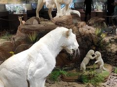 -陕西自然博物馆