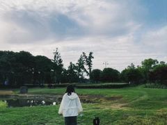 -阳澄湖半岛旅游度假区