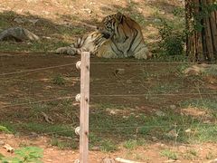 -济南野生动物世界
