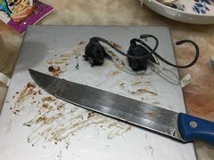 -BLACKSWAN黑天鹅(环球店)