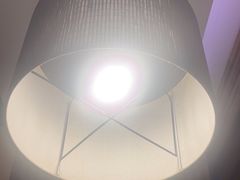 -市川日本料理(太古城中心店)