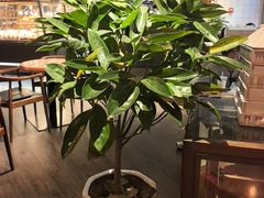 -黑草莓(重庆路店)