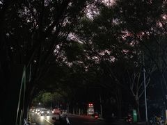 -南宁南湖公园