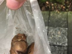 -金盆阿嬷香菇茶叶蛋(玄光店)