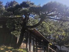 -贵州省植物园
