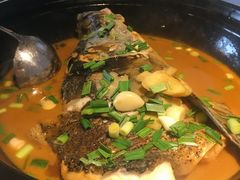 千岛湖有机鱼头-千岛湖小鱼儿·淳安匠心农家菜