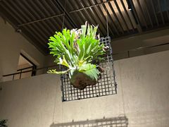 -朴墅(西湖青芝坞店·杭帮菜·家宴.14年的店)