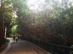 -苏州河梦清园环保主题公园