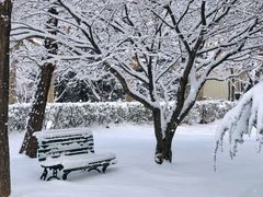 -山东大学(威海校区)