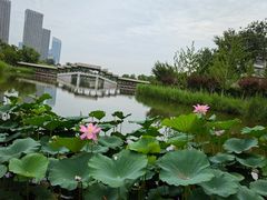 -西海子公园