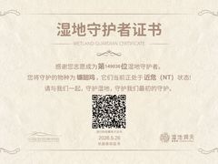 -中国湿地博物馆