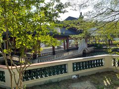 -广东花都湖国家湿地公园