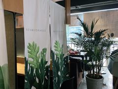 -1984魔法桌游(观音桥店)