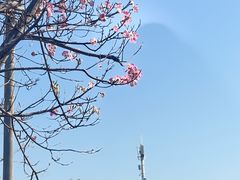 -福州海峡文化艺术中心