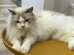 -拜鲁耶动物诊疗中心·宠家动物医院