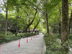 -杭州植物园